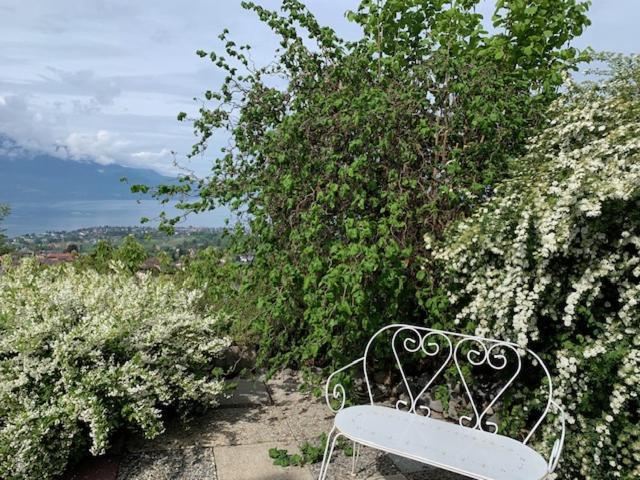 ブロネ Magie Du Leman Bed & Breakfast エクステリア 写真