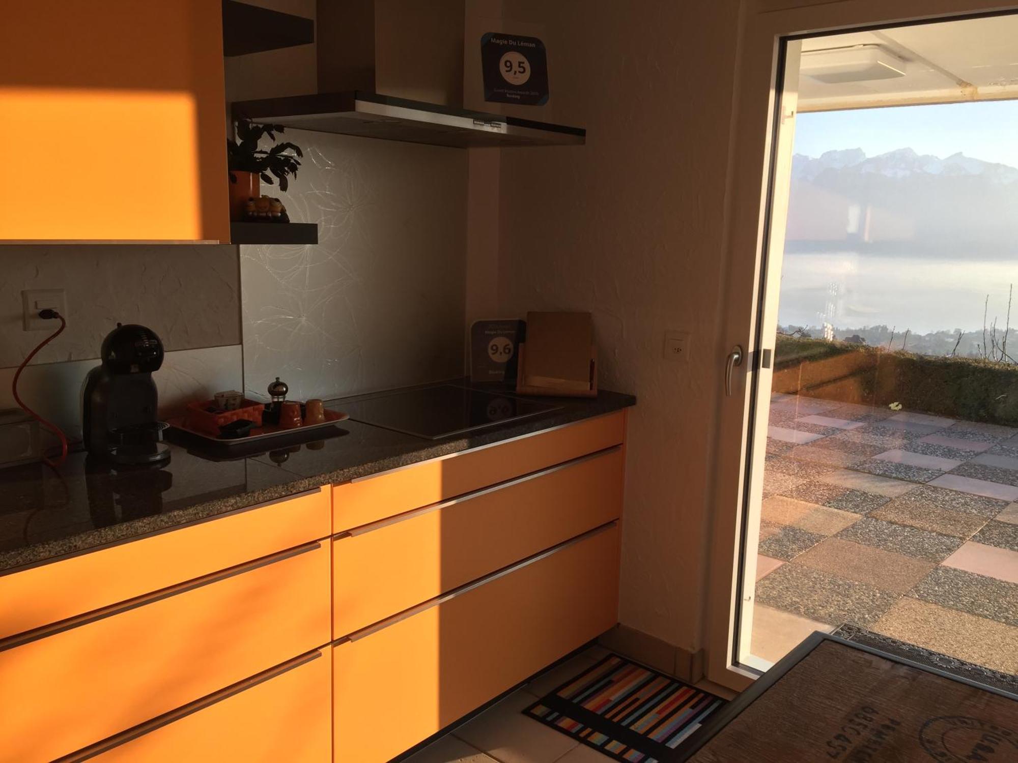ブロネ Magie Du Leman Bed & Breakfast エクステリア 写真