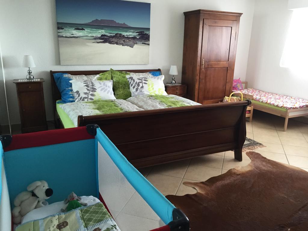 ブロネ Magie Du Leman Bed & Breakfast エクステリア 写真